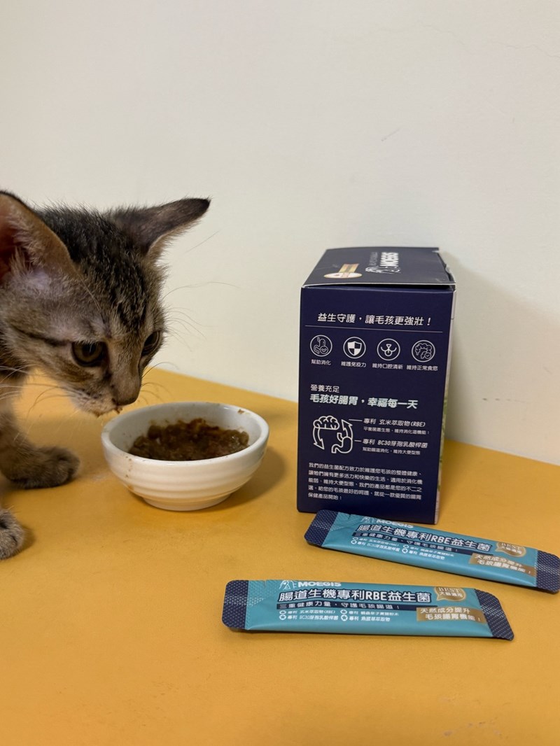 女人知己試用大隊,口碑行銷,部落客行銷,Moegis萌吉 腸道生機專利RBE益生菌,寵物益生菌,專利RBE益生元,專利蔬果酵素,小分子胜肽,藍藻粉,維持免疫力,幫助維持消化道機能,維持正常食慾,改變細菌叢生態,腸胃保健,犬貓適用